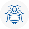 Bed Bug Extermination In Corringham
