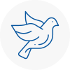 Bird Prevention Corringham