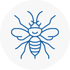 Corringham Hornet Nest Removals