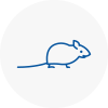 Mice Exterminators In Corringham