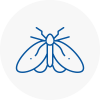 Moth Control Specialists In Corringham