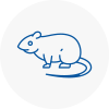 Rat Control Corringham