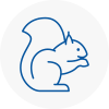 Corringham Rodent Removals