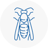 Corringham Wasp Nest Removal